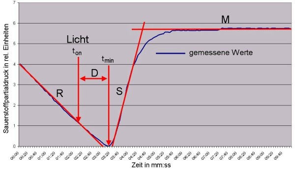 parameter.jpg