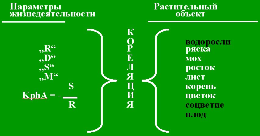 parameter2.jpg